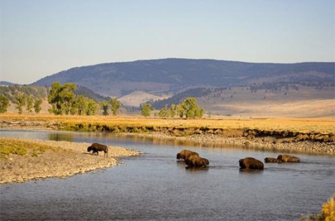 plný háčik do kempov v Wyoming