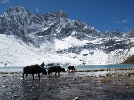 Nepal