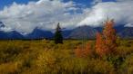 Jeseň v NP Grand Teton